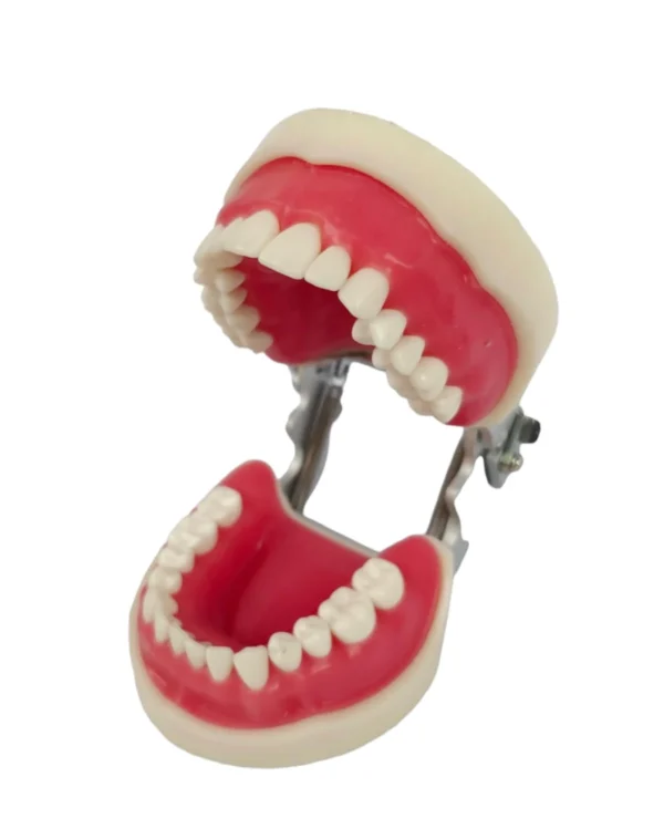 Banna Soft Gingiva Compatible With Nissan Cast MH-02