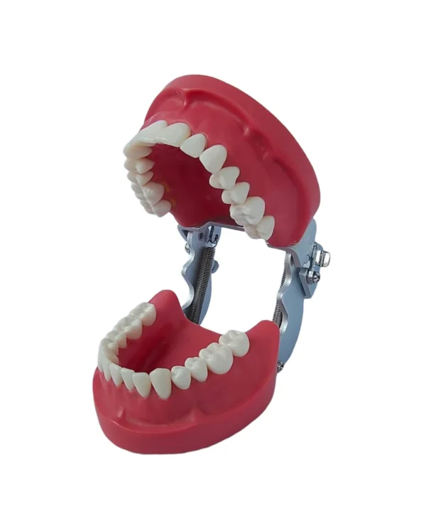 Banna New Cast Metal Articulator MH-01